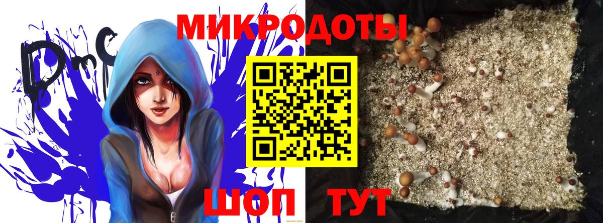 Псилоцибиновые грибы прущие грибы Краснокаменск